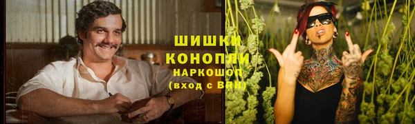 стаф Аркадак