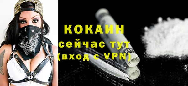 стаф Аркадак