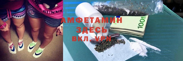 стаф Аркадак