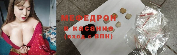 стаф Аркадак