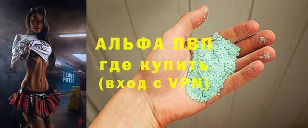стаф Аркадак