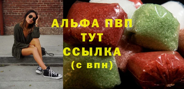 стаф Аркадак