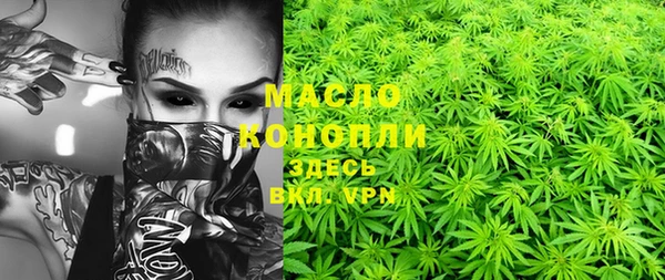 крисы Армянск